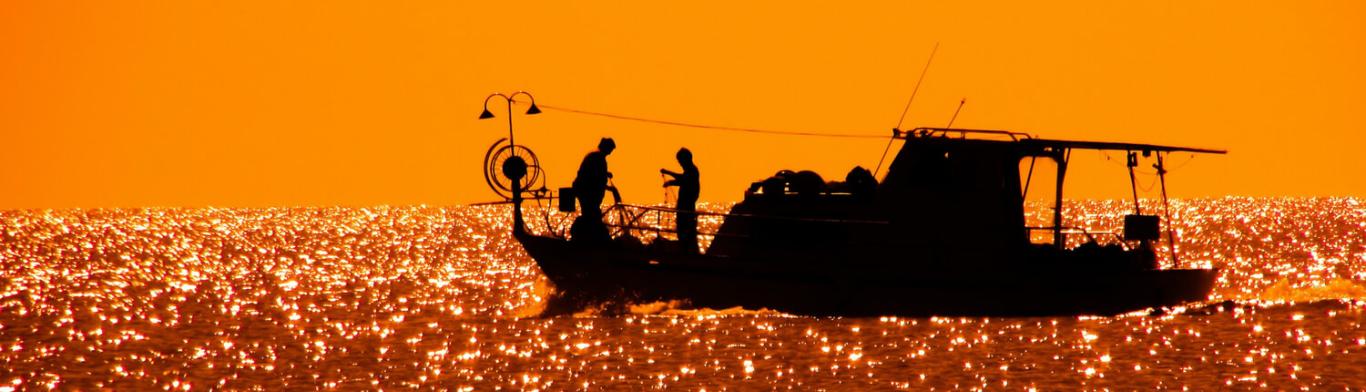 fishing splash