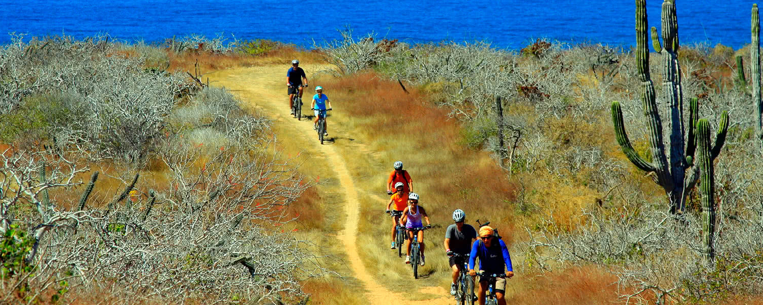 mountain biking adventures