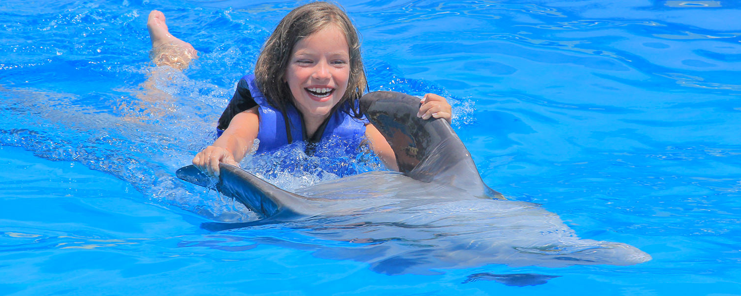 swimming with dolphins 07
